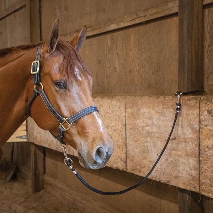 Dura-Tech Quick Release Tie Rope | 22" Braided Rope | Brass Plated Quick Release & Tie Ring | Multi-Use Safety Tie for Horse Barns, Stalls, and Gates | Color Black