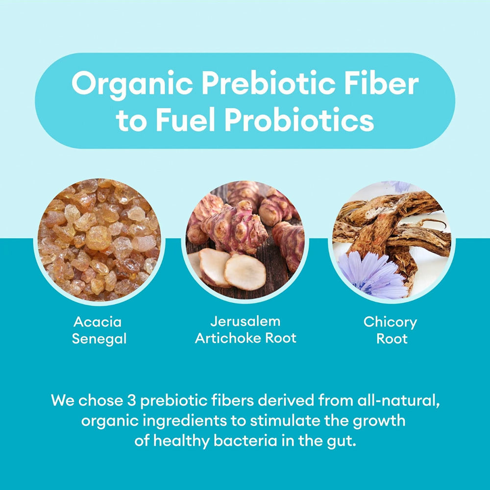 Probiotics 60 Billion CFU  10 Strains  Organic Prebiotics - Immune, Digestive  Gut Health - Supports Occasional Constipation, Diarrhea, Gas & Bloating - For Women & Men - 30ct