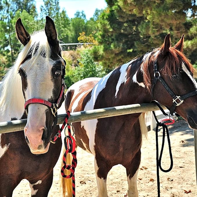 Injuries Preventing Horse Tether Tie - Portable, Versatile & Reusable Breakaway Horse Tie, Quick Release Under Heavy Pressure w/ 5 Loop Settings, Multi-Purpose Horse Clip (2 pcs Pink)