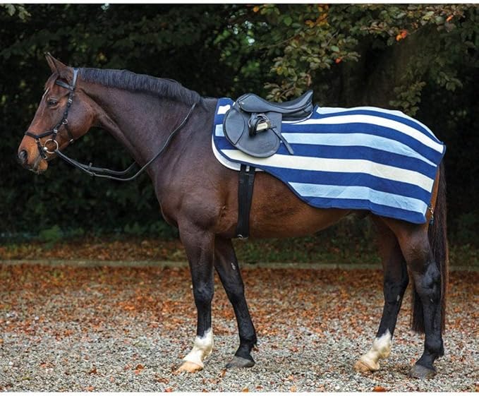 Horseware® Rambo® Competition Sheet