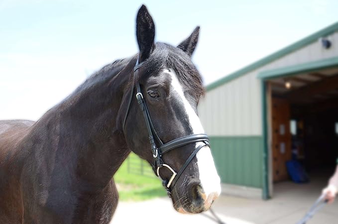 Derby Originals Black Leather Dressage Crank Horse Bridle with Flash and Rubber reins St. Steel Hardware with 1 Year Warranty. for Daily use. (Black, Full Horse (Large))