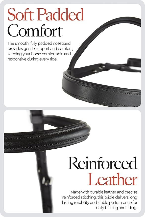 HORZE Denver Soft Leather English Side Pull Bitless Bridle for Horses | Web Reins Included