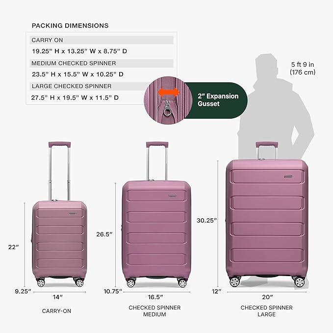 Traveler's Choice Pagosa Hardshell Expandable Luggage with Spinner Wheels, Mauve, 30-Inch Large