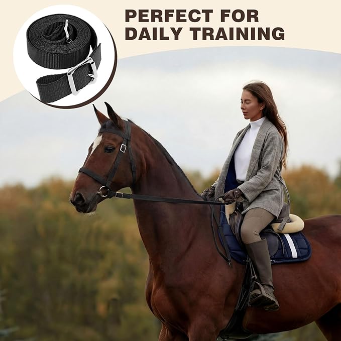 Simgoing 2 Pcs Horse Headstall with Reins, Western Horse Bridle, Nylon Padded Browband, for Horses Trail Riding Equine Tack Supplies Equestrian Lover Gifts, Black