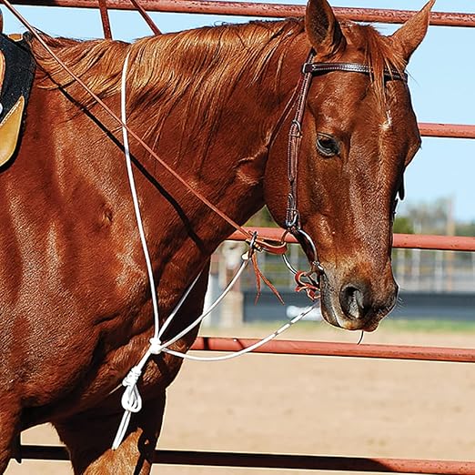 Martin Saddlery String Martingale