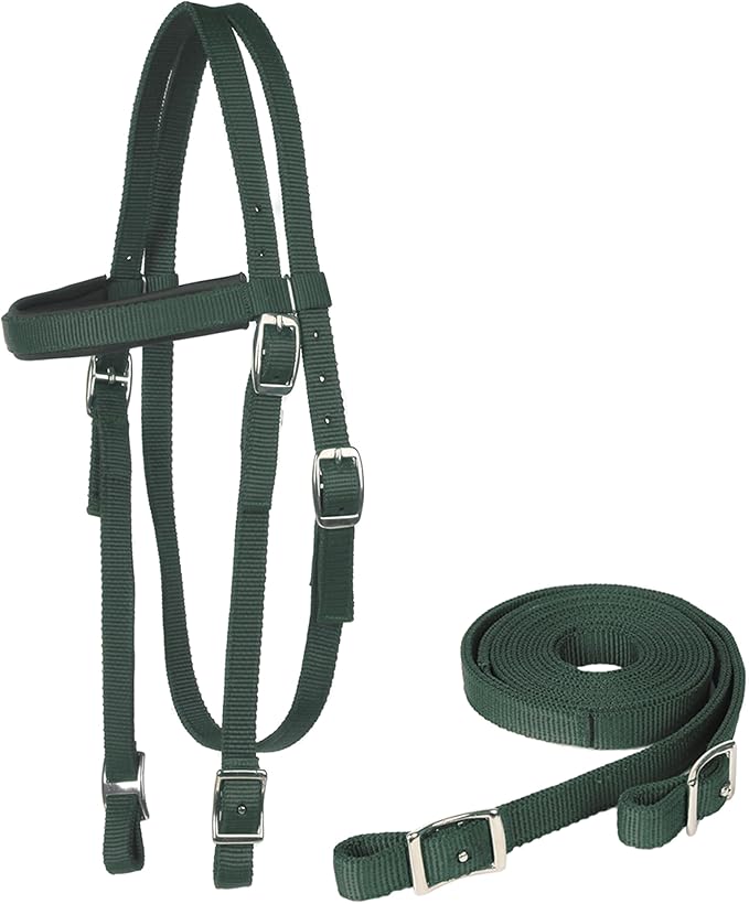 Majestic Ally Nylon Padded Equestrian Browband Headstall, Reins & BreastCollar Set for Horse- Full