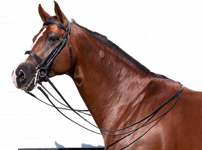 Equinavia Saga Double Bridle w/Reins