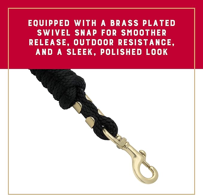 Weaver Equine Performance Lead Rope, 8' Horse Value Rope with Brass Plated 225 Snap, Soft Comfort Grip, Barn Horse Tack for Daily Use