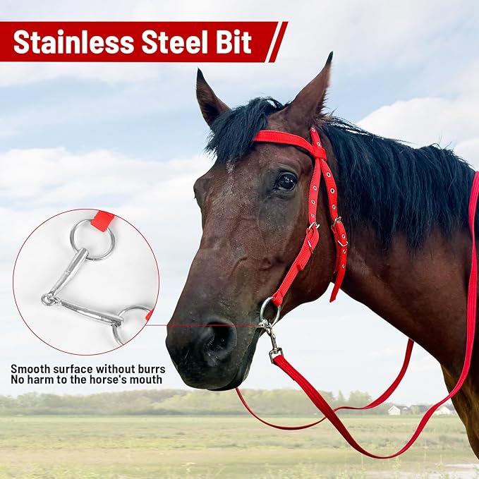 Horse Bridle Bridle Rein Harness Adjustable Horse Bridle Headstall Equestrian Reins