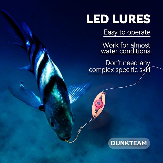 LED Underwater Fishing Lures，LED Lighted Bait Flasher，Deep Drop Fishing Lures，Fish Eye Attractive Light Bait Lure Lamp 5PCS