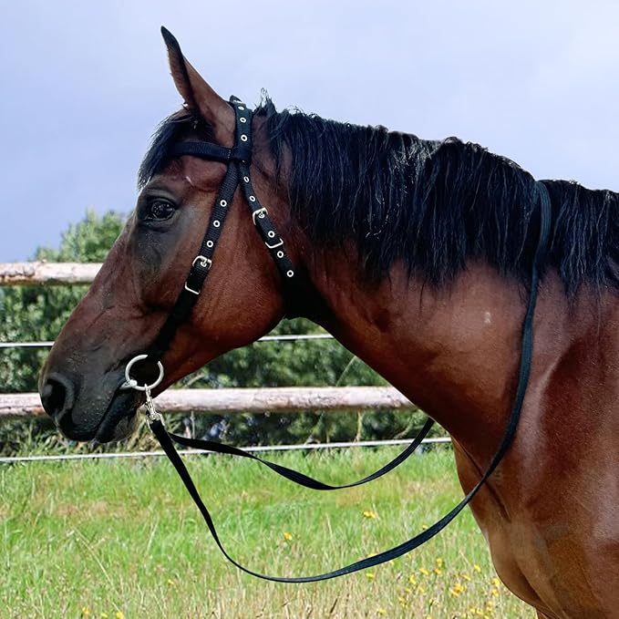 Adjustable Horse Bridle with Stainless Steel Bit - Equestrian Bridles and Horse Headstall (Black, S)
