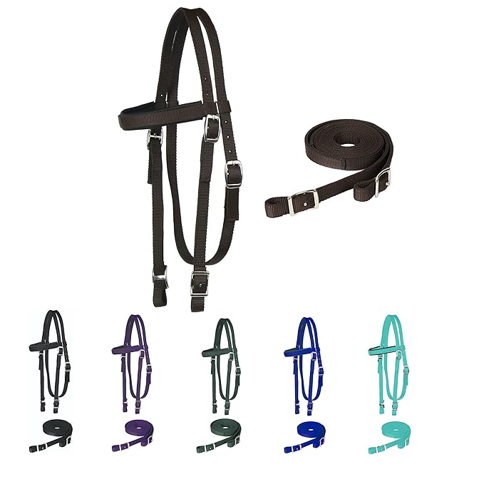 Majestic Ally Horse Headstall with Reins, Nylon Padded Browband, Multiple Colors (Chocolate, Draft)