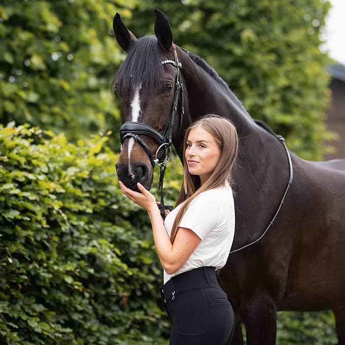 HORZE Somerset Fancy Show Bridle