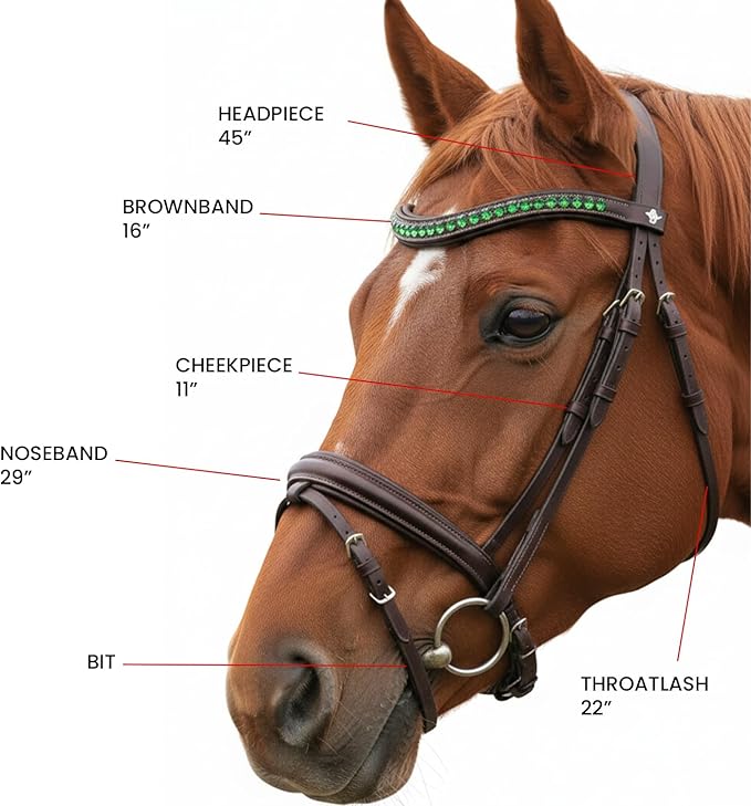 Equine Care Leather English Horse Bridle with Reins, Full Size, Choice of Browband Style, Padded Crown & Cavesson Noseband, Stainless Steel Hardware, Hunter Show Bridle.