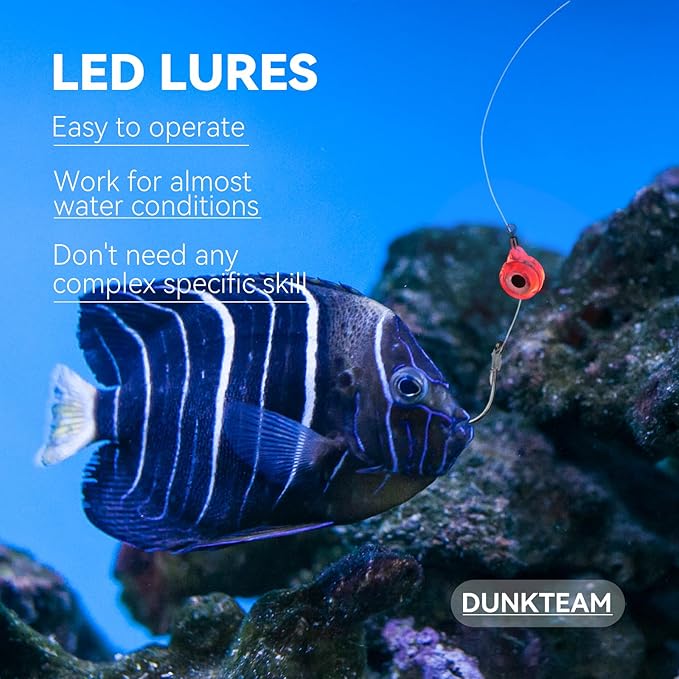 LED水中釣りルアー、LEDライトベイトフラッシャー、ディープドロップ釣りルアー、魚眼誘引ライトベイトルアーランプ 5個