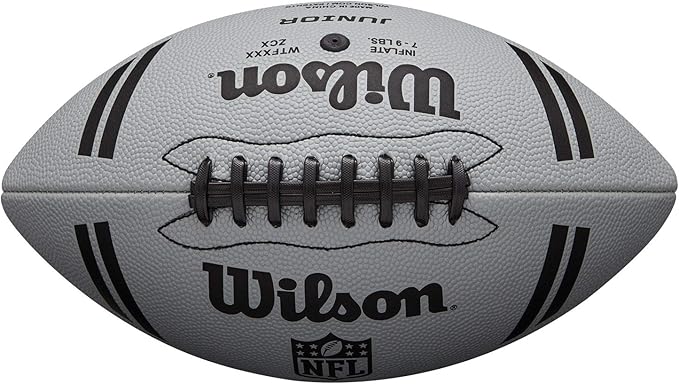 WILSON NFL Recreational Footballs