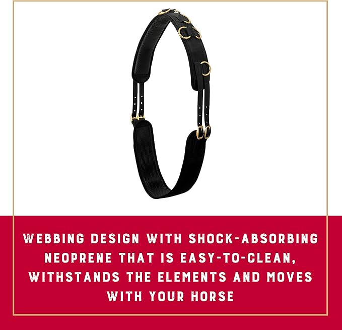 Weaver Equine Adjustable Surcingles for Horses with Shock-Absorbing Neoprene, Brass Plated Buckles & Dee Rings for Side Reins, Fits 68" to 72"