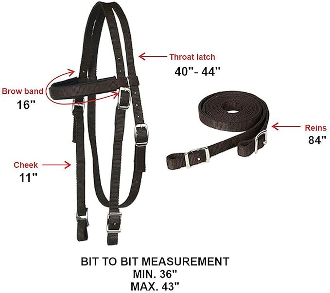 Majestic Ally Nylon Padded Equestrian Browband Headstall, Reins & BreastCollar Set for Horse- Full