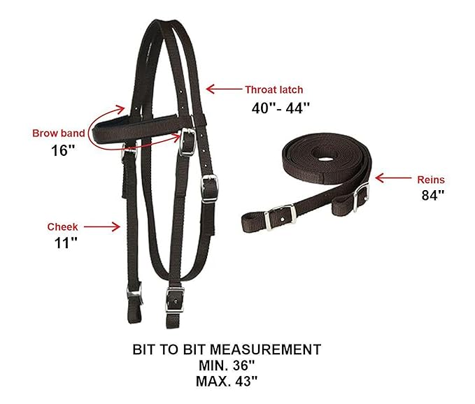 Majestic Ally Horse Headstall with Reins, Nylon Padded Browband, Multiple Colors (Red, Full)