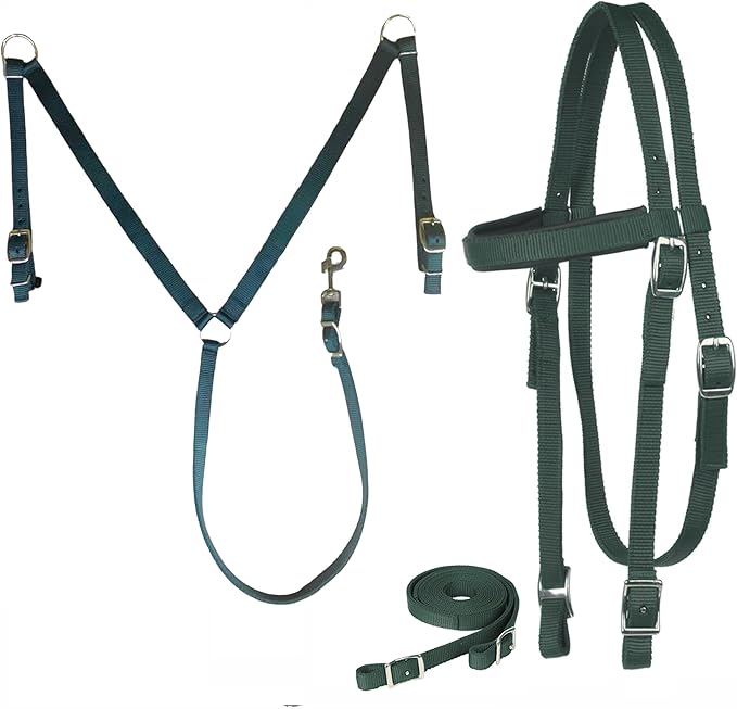 Majestic Ally Nylon Padded Equestrian Browband Headstall, Reins & BreastCollar Set for Horse- Full