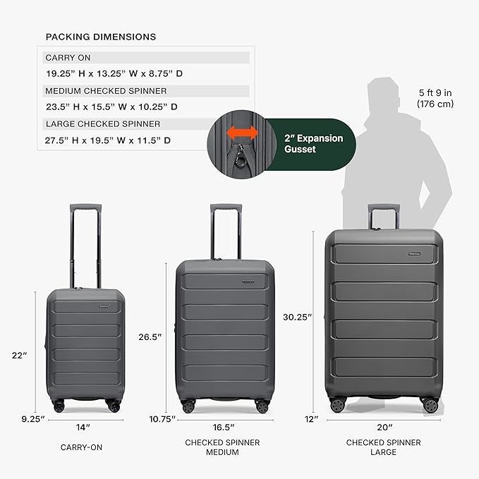 Traveler's Choice Pagosa Hardshell Expandable Luggage with Spinner Wheels, Gray, 22-Inch Carry-on