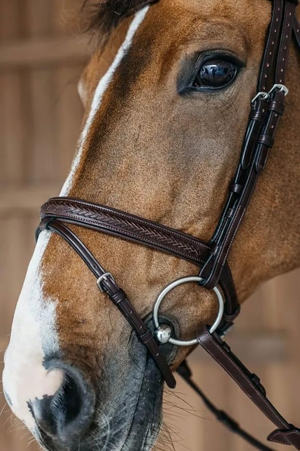 Braided Havana Brown Leather Bridle with Removable Flash – Padded Browband & Noseband – Horse Riding Bridle for Schooling & Show - Size Full