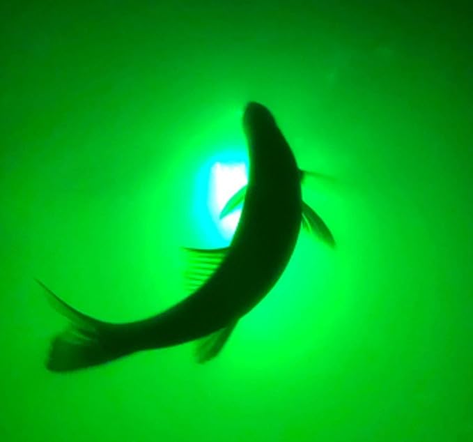 New Underwater Dock Fishing Light 110V with Extra Long 50ft Cord, 7500 Lumens, Made in Texas