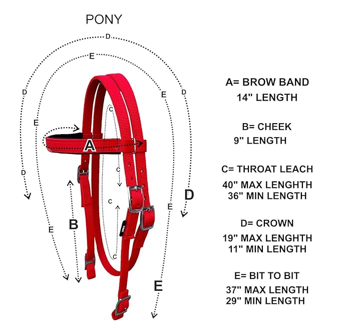 Majestic Ally Horse Headstall with Reins, Nylon Padded Browband, Multiple Colors (Turquoise, Pony)