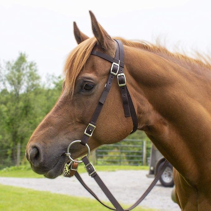 Tahoe Tack Plain Double Layer Nylon Headstall with Reins