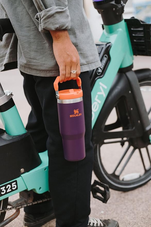 STANLEY IceFlow 2.0 Flip Straw Tumbler with Handle 30 oz | Twist On Lid and Flip Up Straw | Leakproof Water Bottle | Insulated Stainless Steel | BPA-Free | Spring Green