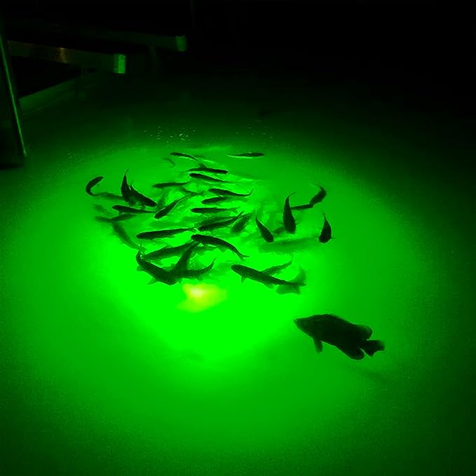 Underwater Fish Light 175W Natural Green Dock Light – Professional Fish Attractor System with Automatic Night Sensor – Marine Grade Submersible Light for Salt & Fresh Water Docks