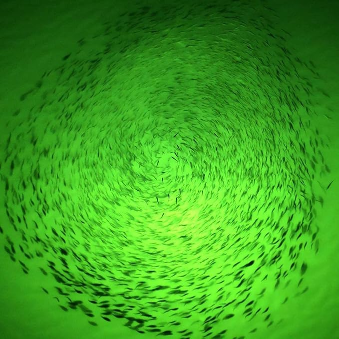 8-Pack Underwater Light Green Color 4.73 inch Deep Drop LED Light Waterproof Flashing Fishing Light Attractive Light Bait Lure Lamp