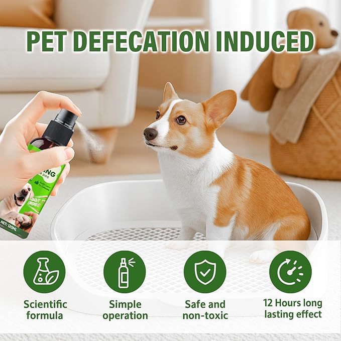 AiRunTech Potty Training Spray for Dogs, Dog Deterrent Spray, Helps Guide Dogs to Preferred Potty Spots, for Indoor & Outdoor Use, 120ml