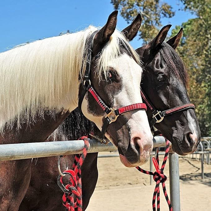Injuries Preventing Horse Tether Tie - Portable, Versatile & Reusable Breakaway Horse Tie, Quick Release Under Heavy Pressure w/ 5 Loop Settings, Multi-Purpose Horse Clip (2 pcs Pink)