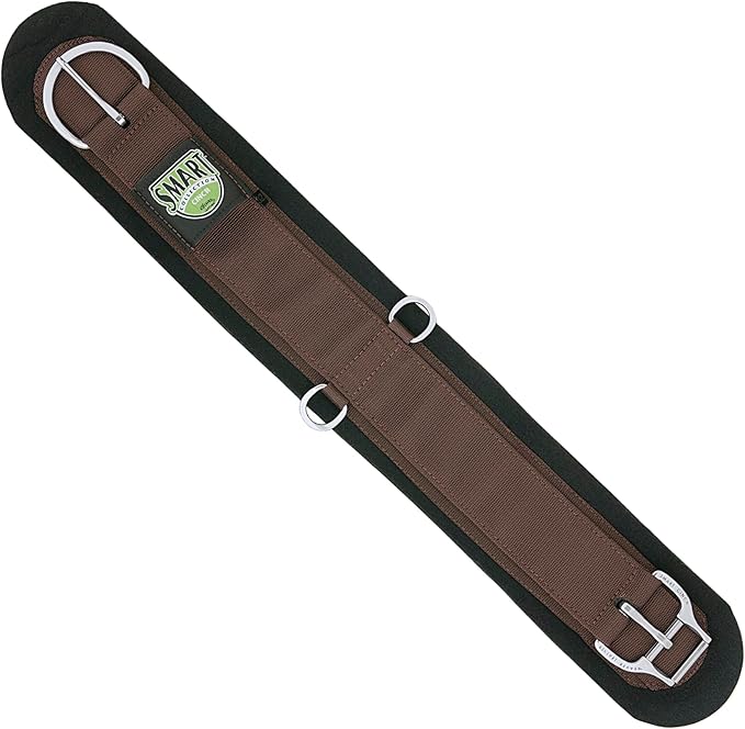 Weaver EquineCinch
