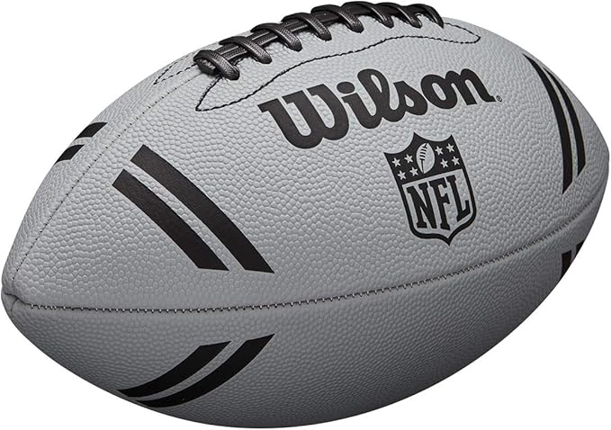 WILSON NFL Recreational Footballs