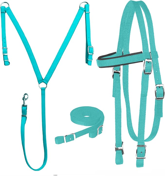 Majestic Ally Nylon Padded Equestrian Browband Headstall, Reins & BreastCollar Set for Horse- Full
