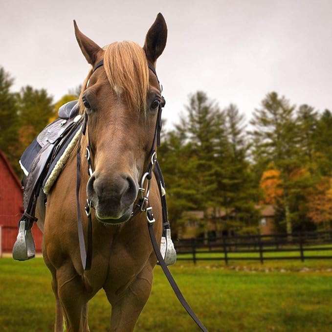 Tahoe Tack Plain Double Layer Nylon Headstall with Reins