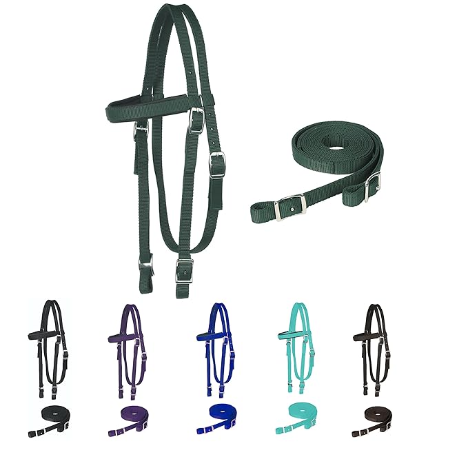 Majestic Ally Horse Headstall with Reins, Nylon Padded Browband, Multiple Colors (Hunter Green, Cob)