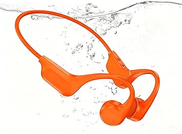 https://m.media-amazon.com/images/I/71SbcNoVhUL._AC_SX355_.jpg