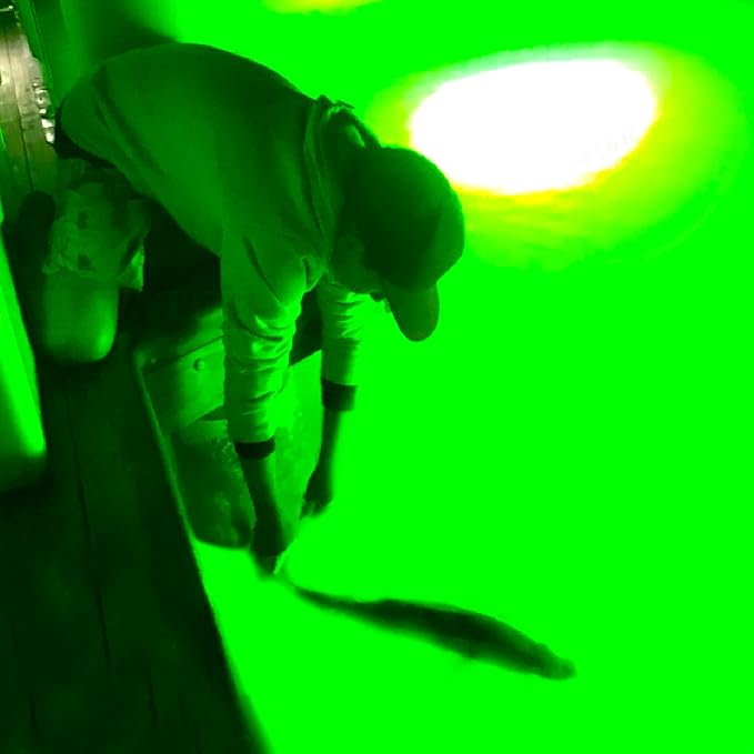 Underwater Fish Light 175W Natural Green Dock Light – Professional Fish Attractor System with Automatic Night Sensor – Marine Grade Submersible Light for Salt & Fresh Water Docks