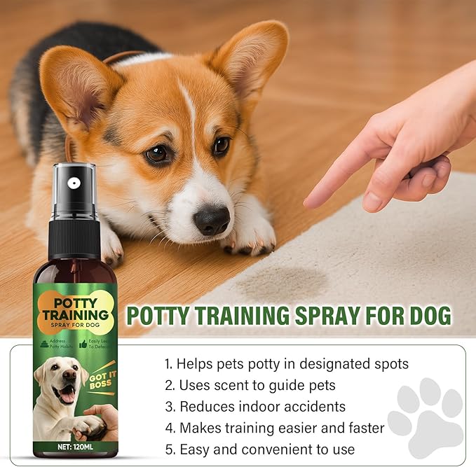 AiRunTech Potty Training Spray for Dogs, Dog Deterrent Spray, Helps Guide Dogs to Preferred Potty Spots, for Indoor & Outdoor Use, 120ml