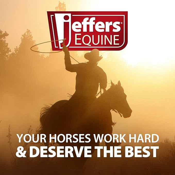 Jeffers Equine Hoof Pick & Brush, Green – Horse Hoof Cleaning Tool for Grooming, Farrier, Equestrian Care – Durable Hoof Pick with Stiff Bristles – 4 inch Easy Grip Handle