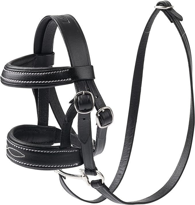 LeMieux Toy Pony Western Bridle - Functioning Leather Bridle - Tan - Ages 8+