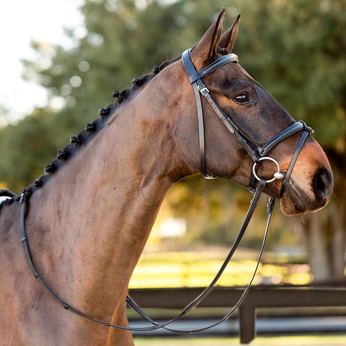 Equinavia Saga Padded Cavesson Dressage Bridle with Reins and Removable Flash