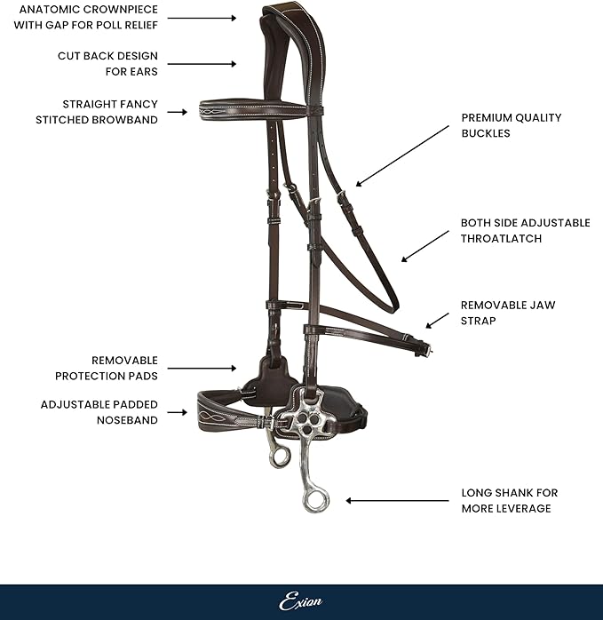Exion Nova Hackamore Bridle – Anatomical Bitless Horse Bridle with Rubber Reins – Padded Anti-Pressure Crownpiece – Vegetable-Tanned Leather Bitless Bridle for Jumping & Training