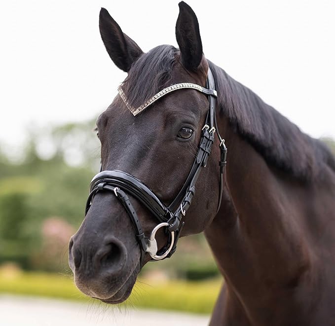 HORZE Grayson Classic Leather Ergonomic Snaffle Dressage Bridle with Detachable Flash