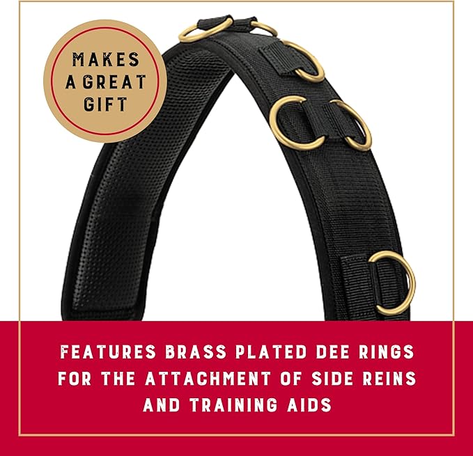 Weaver Equine Adjustable Surcingles for Horses with Shock-Absorbing Neoprene, Brass Plated Buckles & Dee Rings for Side Reins, Fits 68" to 72"