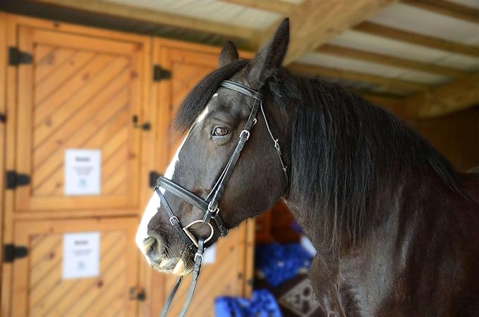 Derby Originals Black Leather Dressage Crank Horse Bridle with Flash and Rubber reins St. Steel Hardware with 1 Year Warranty. for Daily use. (Black, Full Horse (Large))