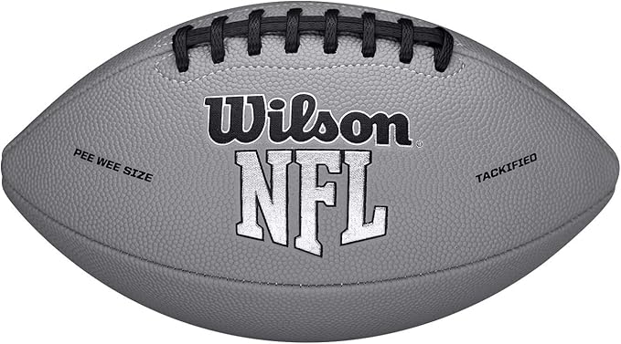 WILSON NFL Recreational Footballs